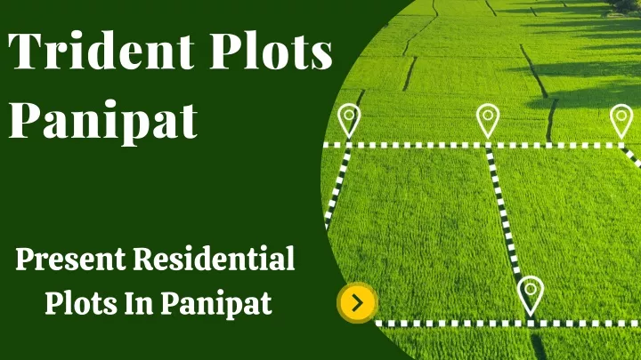 trident plots panipat