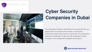 Comprehensive Overview of PGS Solution’s Services