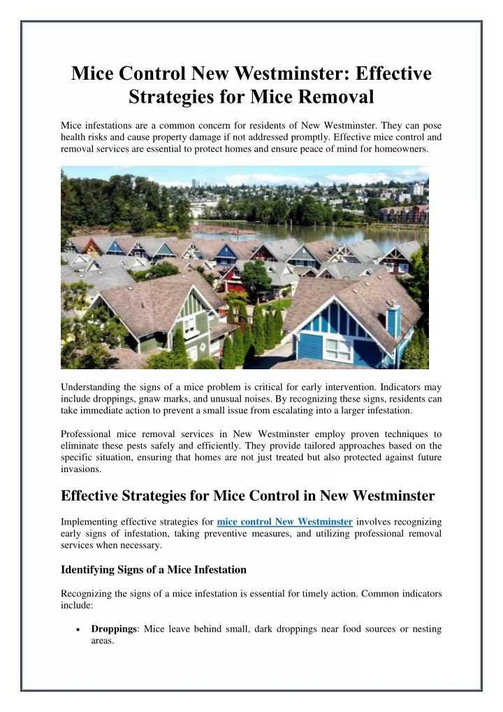 mice control new westminster effective strategies