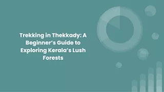 Trekking in Thekkady_ A Beginner’s Guide to Exploring Kerala’s Lush Forests