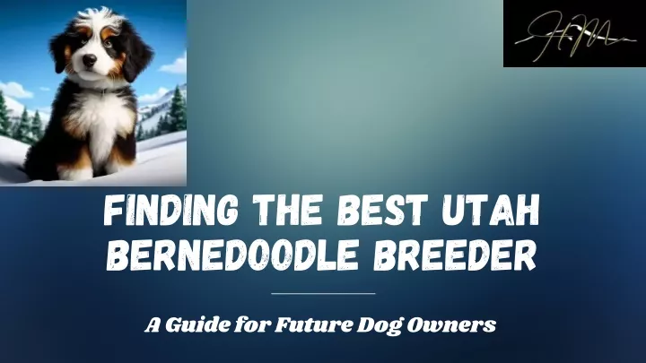 finding the best utah bernedoodle breeder