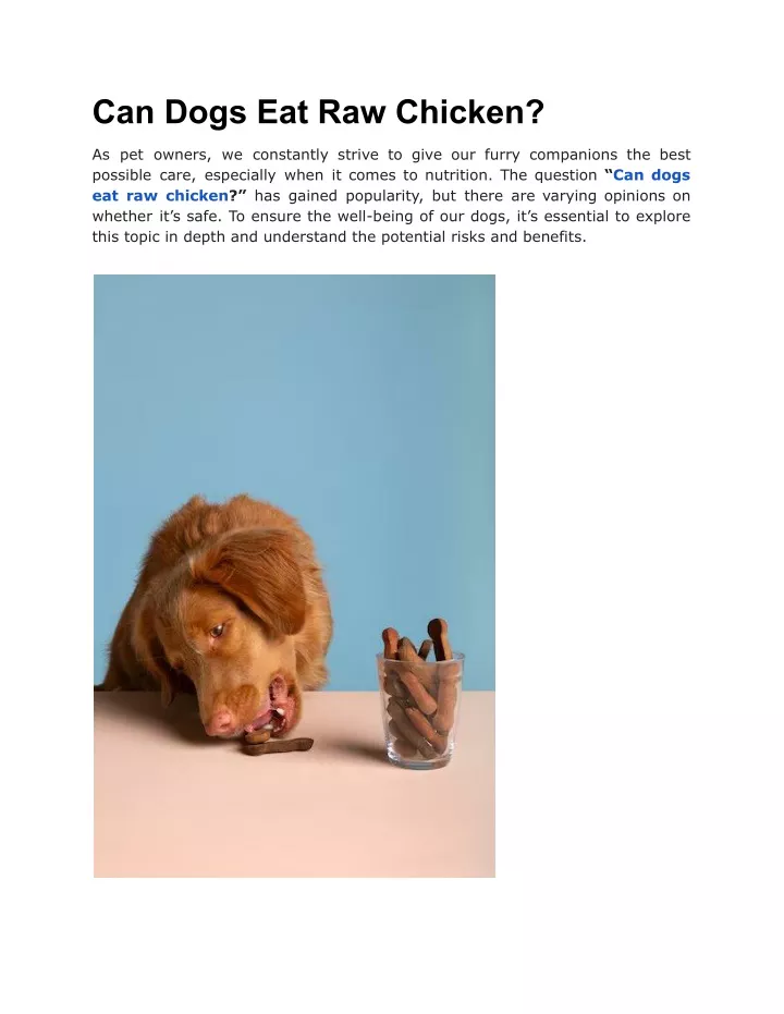 can dogs eat raw chicken