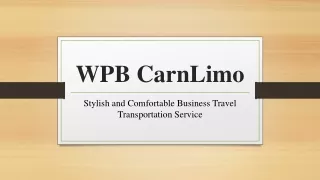 Stylish and Comfortable Business Travel Transportation Service