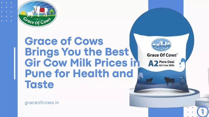 grace of cows brings you the best gir cow milk