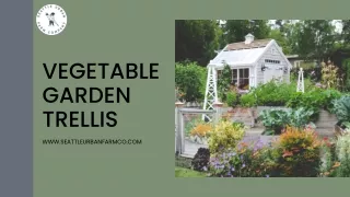 Sturdy Vegetable Garden Trellis by Seattle Urban Farm Company