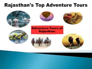 Rajasthan's Top Adventure Tours