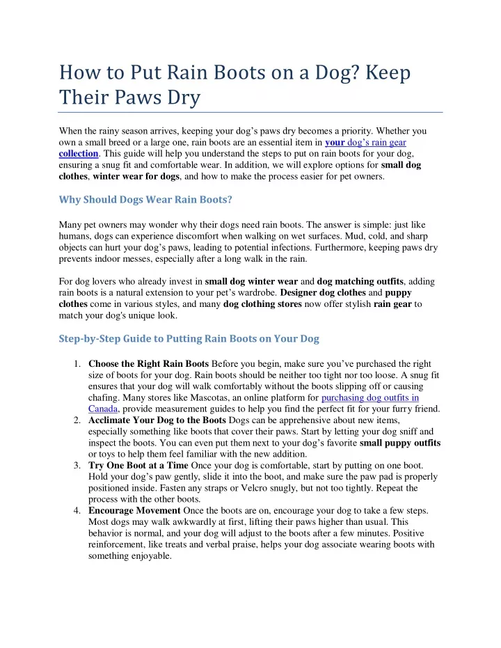 What To Put On Dog Paws When Dry PPT - How to Put Rain Boots on a Dog? Keep Their Paws Dry PowerPoint