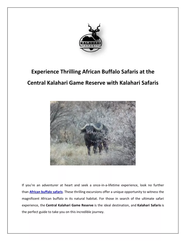 experience thrilling african buffalo safaris