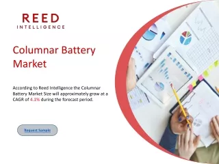 Columnar Battery Market
