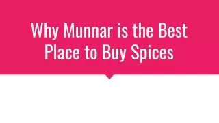 Why Munnar is the Best Place to Buy Spices