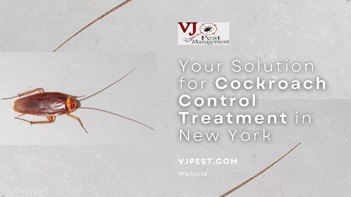 vjpest com website