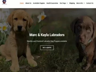 Labrador retriever puppies for sale