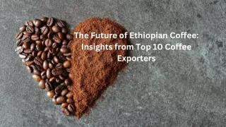 The Future of Ethiopian Coffee Insights from Top 10 Coffee Exporters