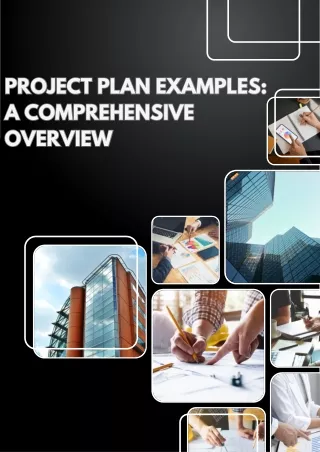 Project Plan Examples A Comprehensive Overview