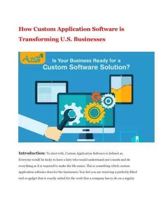 How Custom Application Software is Transforming U.S. Businesses