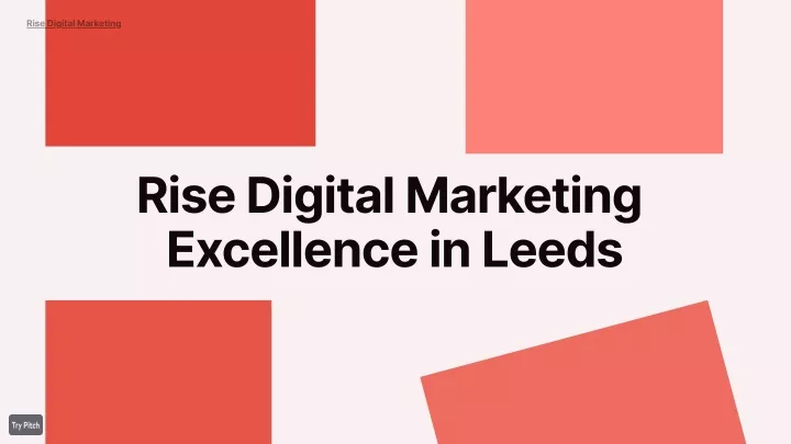 rise digital marketing