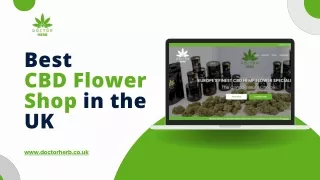 Best CBD Flower Shop in the UK