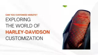 Can You Customize Harleys - TNT Motorcycles