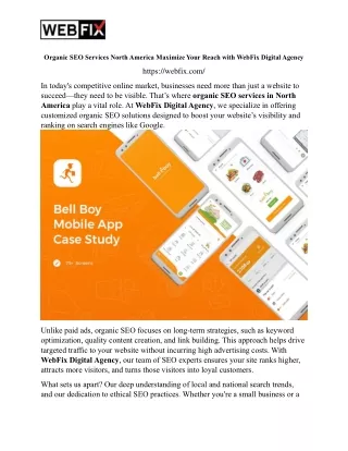Organic SEO Services North America Maximize Your Reach with WebFix Digital Agency