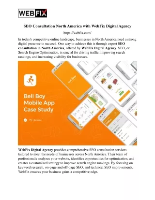 SEO Consultation North America with WebFix Digital Agency
