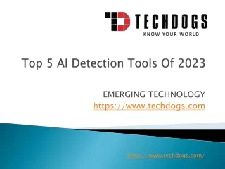 AI Detection Tools