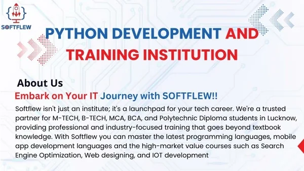 python development and training institution