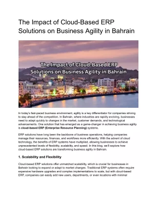 _ERP Solutions Bahrain