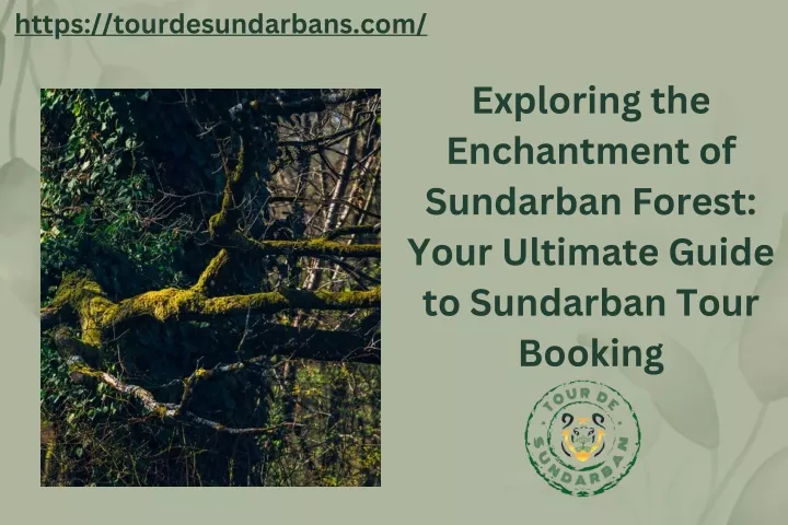 https tourdesundarbans com