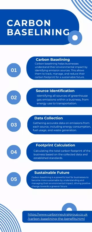 Carbon Baselining, The benefits  Carbon Neutral Group