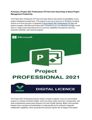 purchase a project 2021 professional 1pc key from