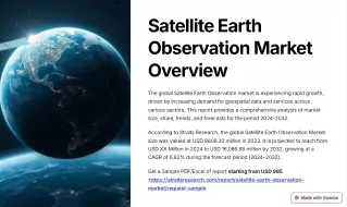 Satellite Earth Observation Market Report 2024