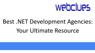 best net development agencies your ultimate