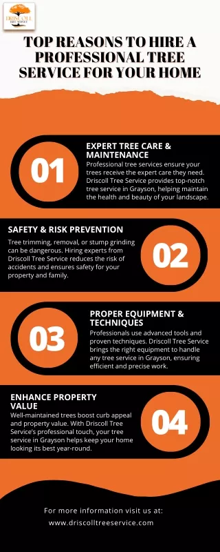 Top Reasons to Hire a Professional Tree Service for Your Home