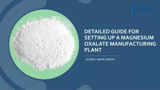 Setting Up a Magnesium Oxalate Manufacturing Unit PDF