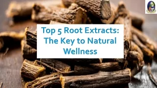 Top 5 Root Extracts The Key to Natural Wellness