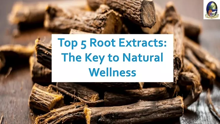 top 5 root extracts the key to natural wellness