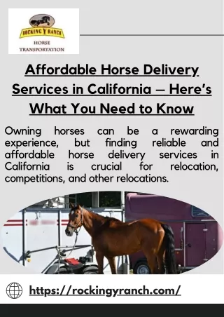 Affordable Horse Delivery Services in California Rocking Y Ranch