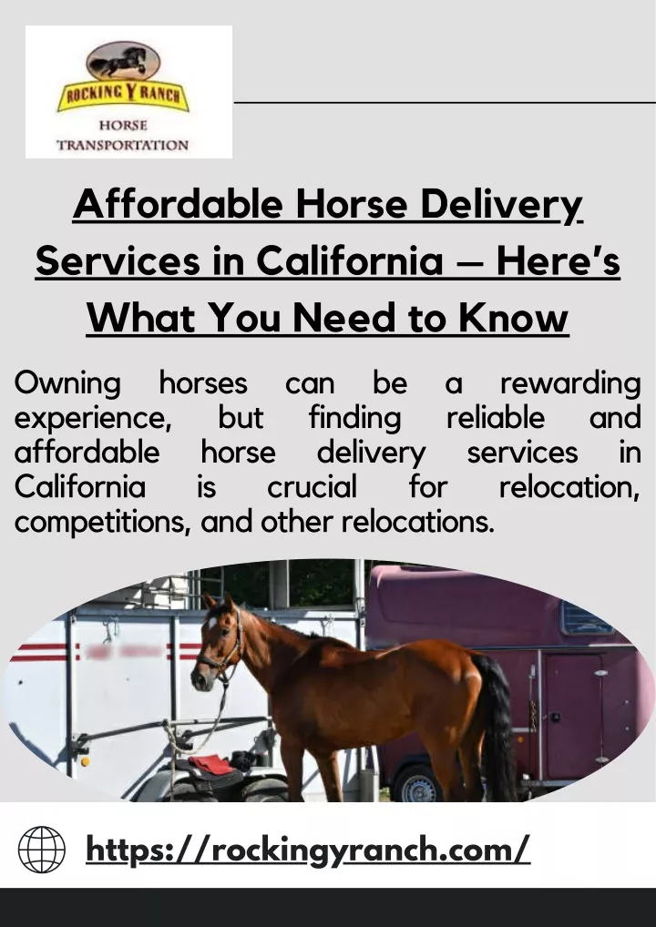 affordable horse delivery services in california