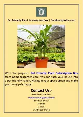 Pet Friendly Plant Subscription Box  Gamboasgarden.com