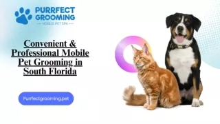 Convenient & Professional Mobile Pet Grooming in South Florida