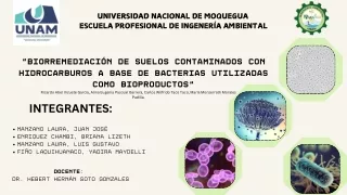 BIORREMEDIACIÓN DE SUELOS CONTAMINADOS CON HIDROCARBUROS-GRUPO 1