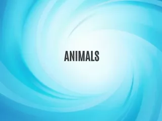 DOMESTIC ANIMALS