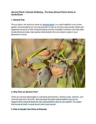 Almond Plants_ Cultivate Wellbeing – Purchase Almond Plants Online at GardenGram
