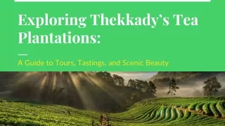 Exploring Thekkady’s Tea Plantations_A Guide to Tours, Tastings, and Scenic Beauty