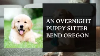 An Overnight Puppy Sitter Bend Oregon