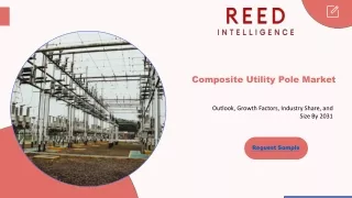 Composite Utility Pole Market Analysis: A Guide for Investors and Industry Playe