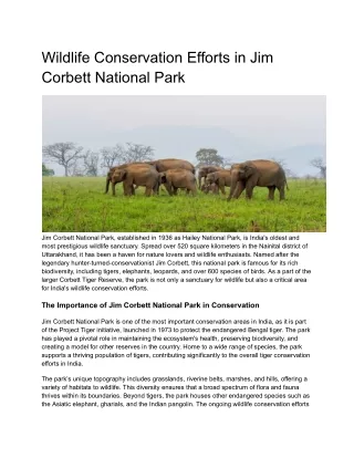 Jim Corbett National Park 1 night 2 days package