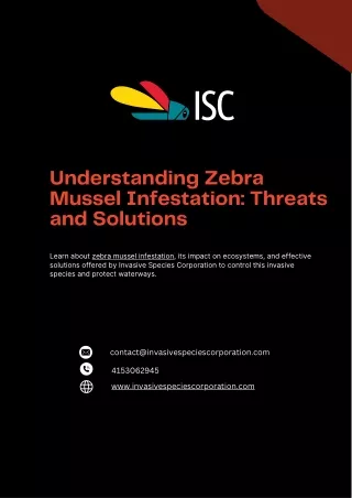 understanding zebra mussel infestation threats