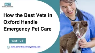 How the Best Vets in Oxford Handle Emergency Pet Care