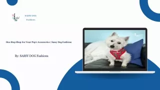 One-Stop Shop For Your Pup’s Accessories - Sassy Dog Fashions